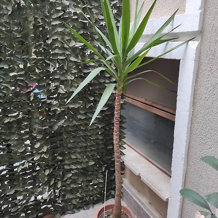 Casa Bacchilide Apartman Szirakúza Kültér fotó