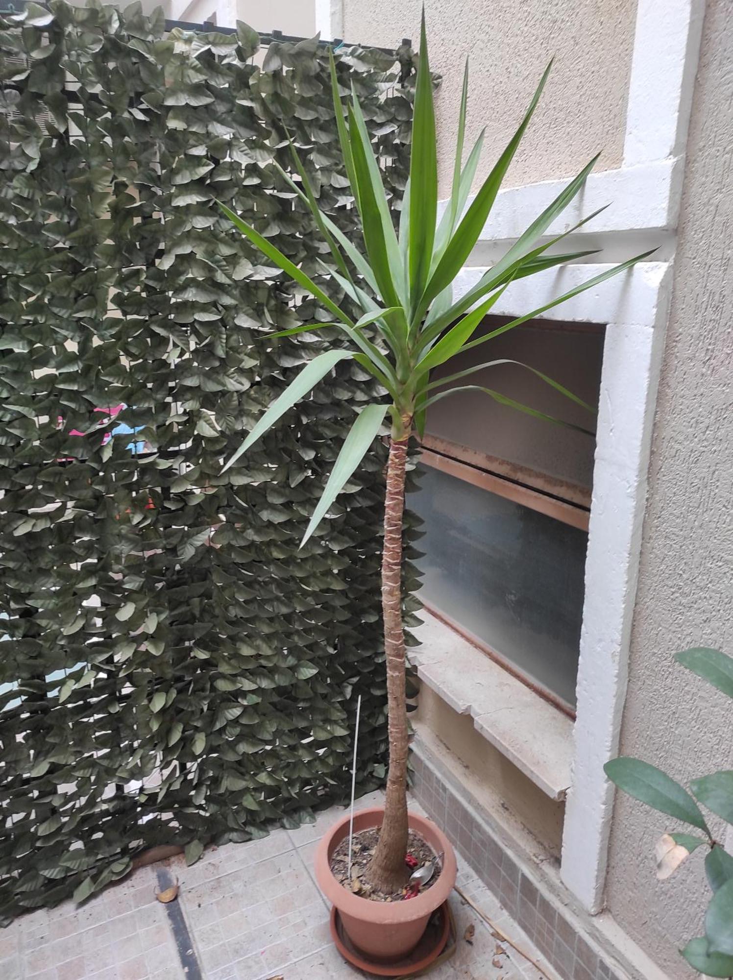 Casa Bacchilide Apartman Szirakúza Kültér fotó